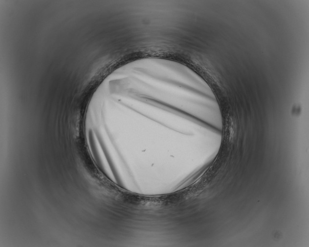 X0000090880694200708241941