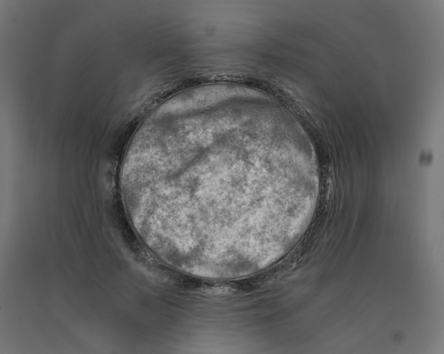 X0000090880695200708241941