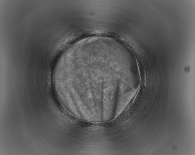 X0000090880696200708241941