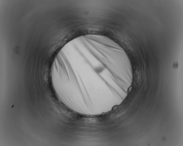 X0000090880698200708241941