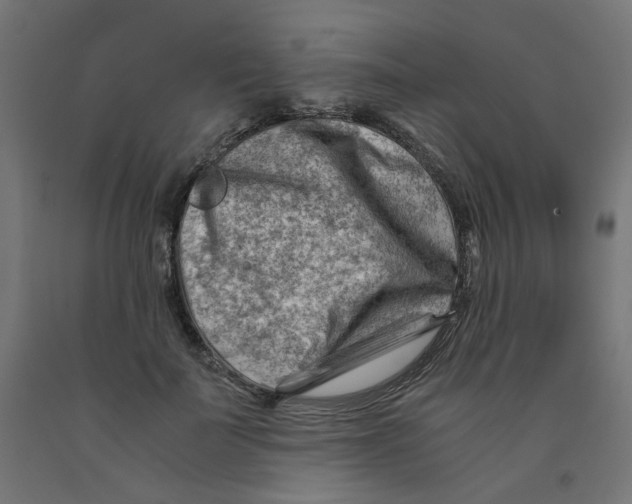 X0000090880699200708241941