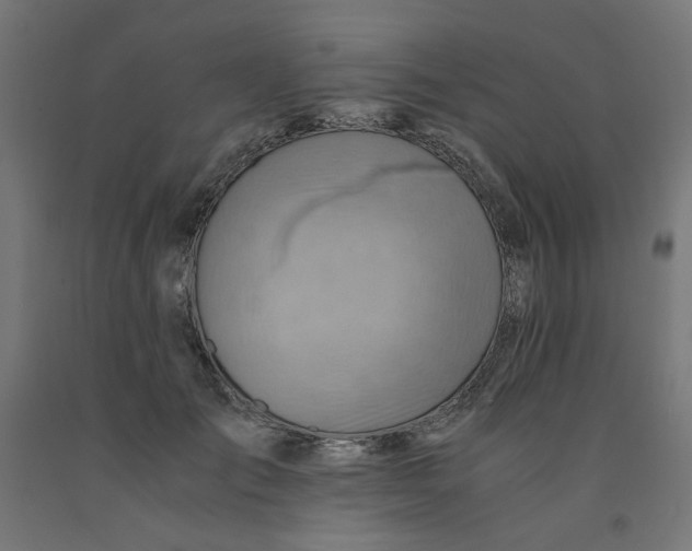 X0000090880701200708241941