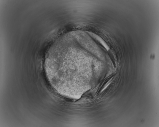 X0000090880703200708241941