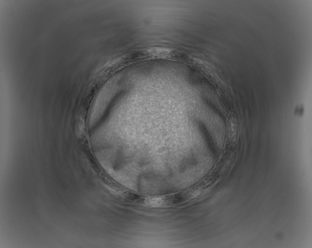 X0000090880705200708241941