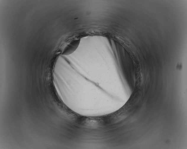 X0000090880706200708241941