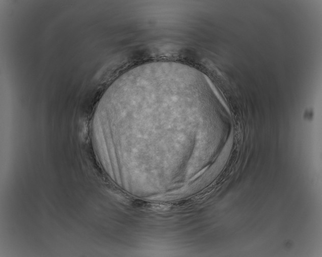 X0000090880709200708241941