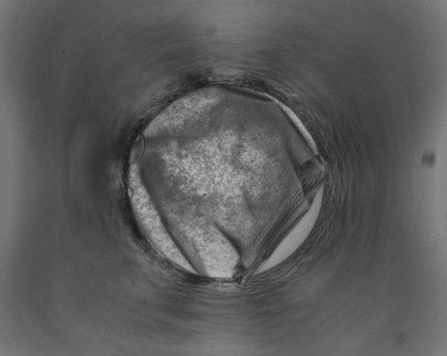 X0000090880711200708241941