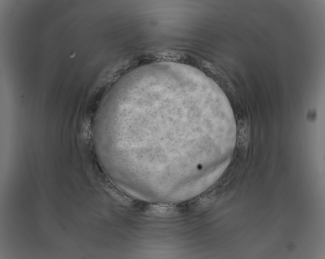 X0000090880713200708241941