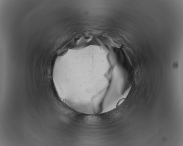 X0000090880714200708241941