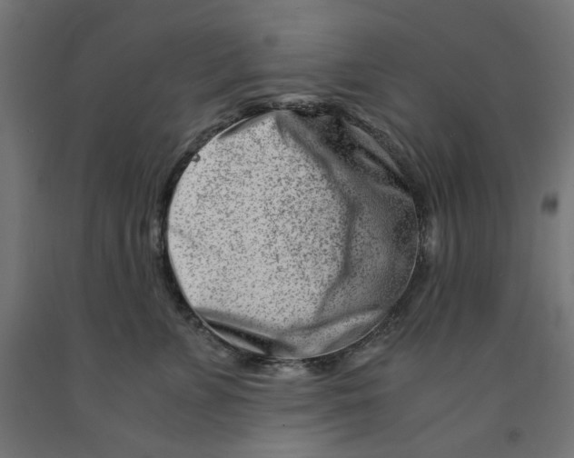 X0000090880715200708241941