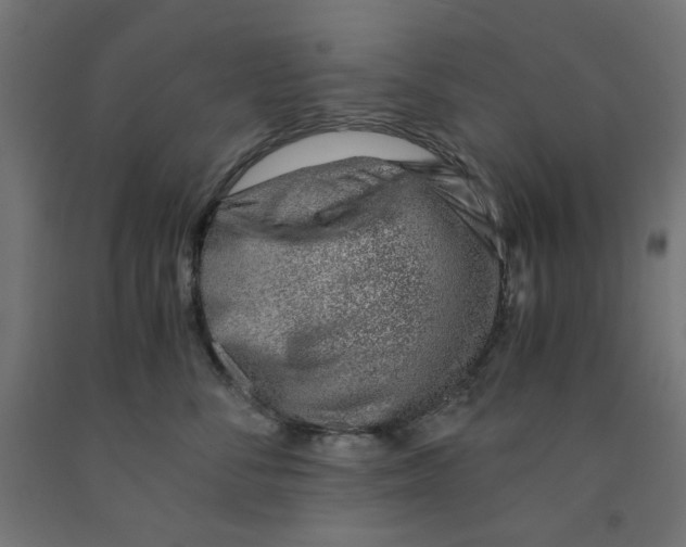 X0000090880716200708241941