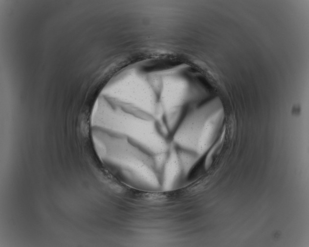 X0000090880719200708241940