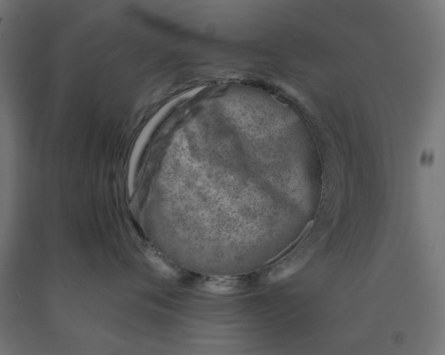 X0000090880720200708241940