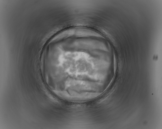 X0000090880721200708241940