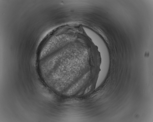 X0000090880724200708241940