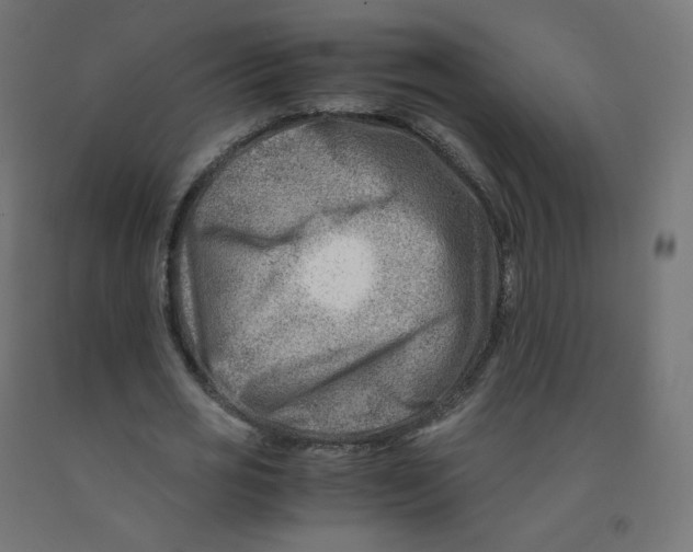 X0000090880725200708241940