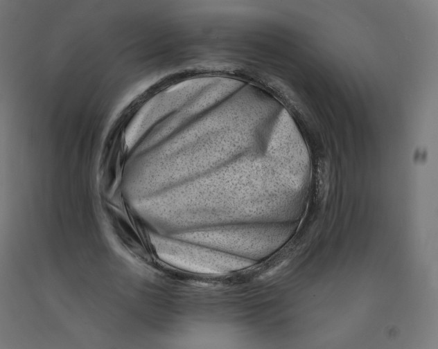 X0000090880726200708241940