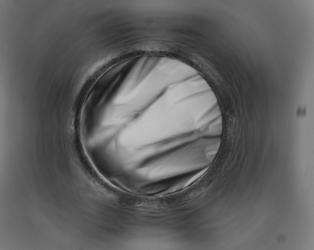 X0000090880727200708241940