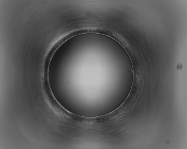 X0000090880728200708241940