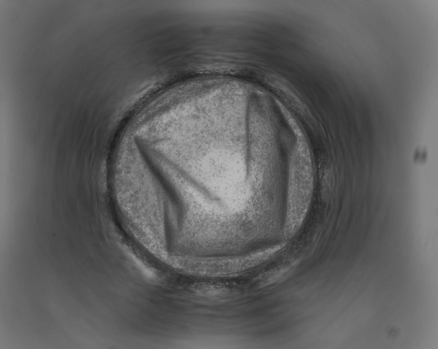 X0000090880729200708241940