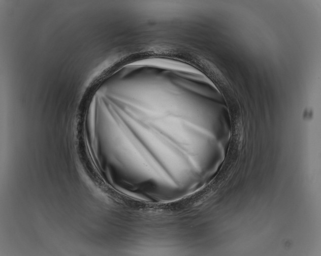 X0000090880730200708241940