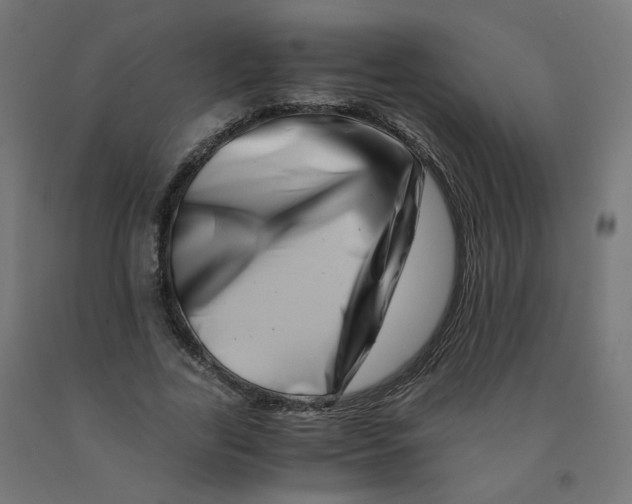 X0000090880731200708241940