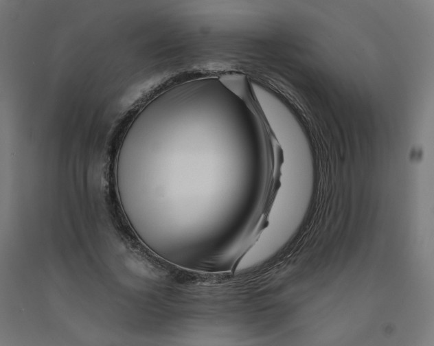 X0000090880732200708241940