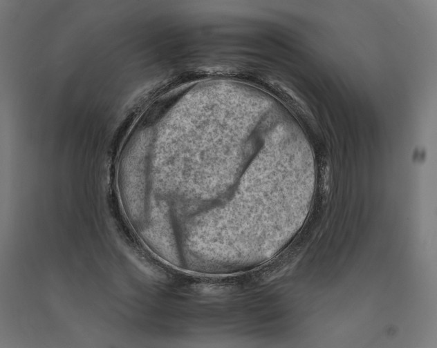 X0000090880733200708241940