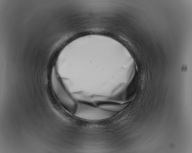 X0000090880734200708241940