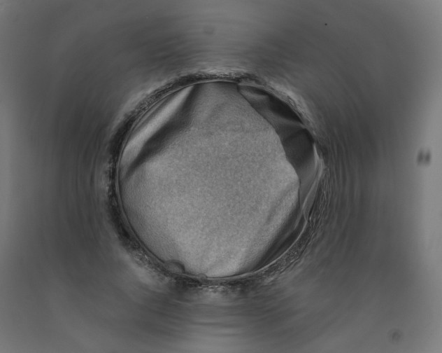 X0000090880736200708241940