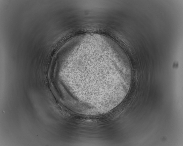 X0000090880737200708241940