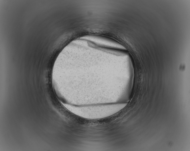 X0000090880738200708241940