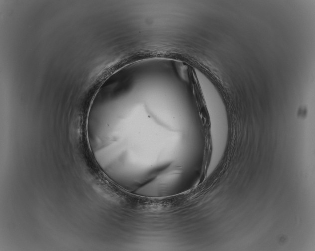 X0000090880740200708241940