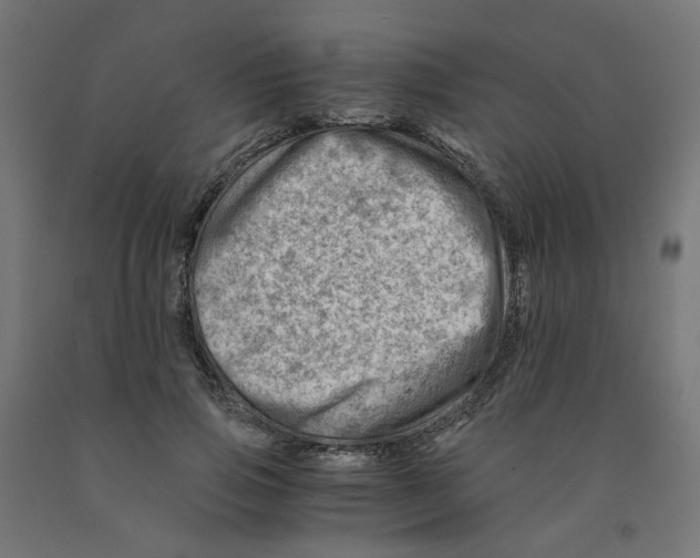 X0000090880741200708241940