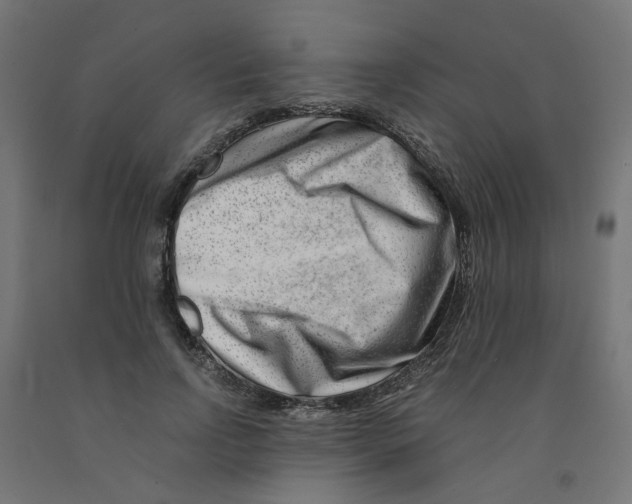 X0000090880742200708241940