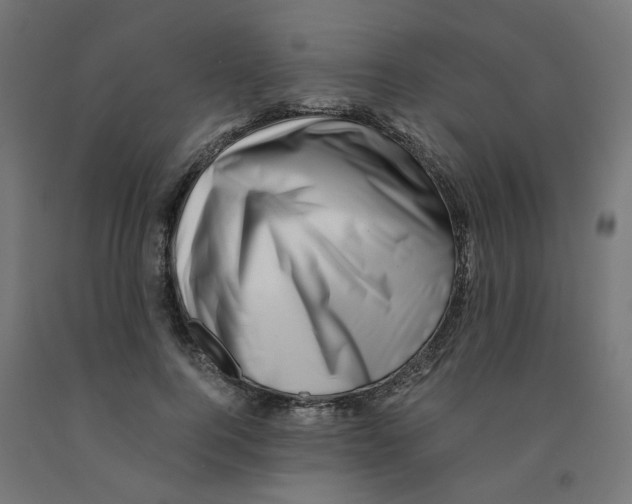 X0000090880744200708241940