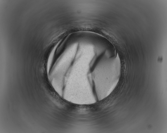 X0000090880746200708241940