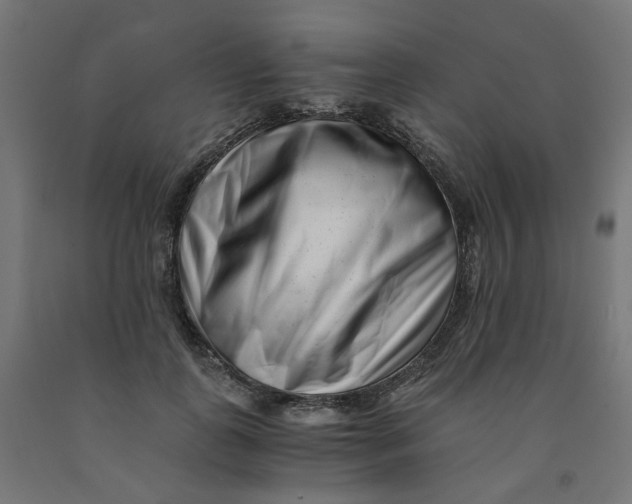 X0000090880747200708241940