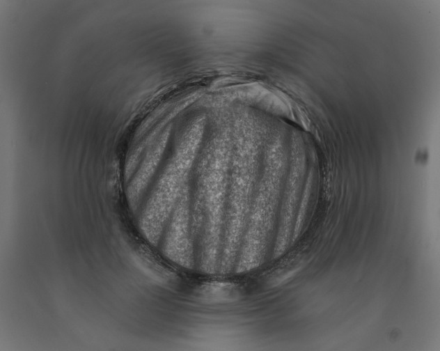 X0000090880748200708241940