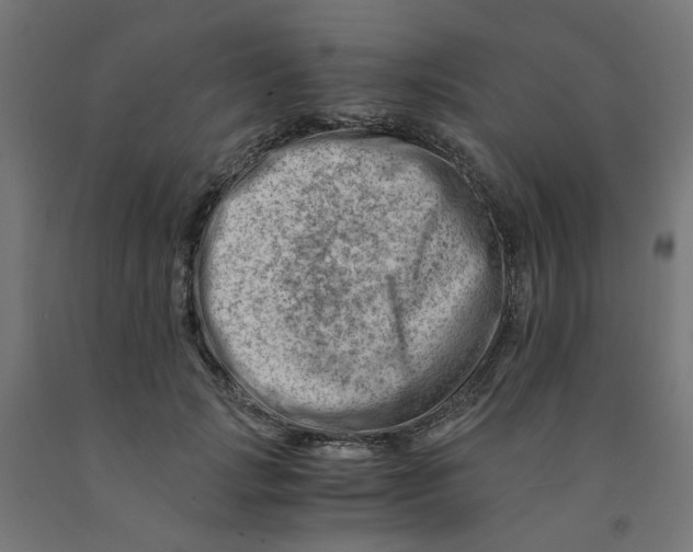 X0000090880749200708241940