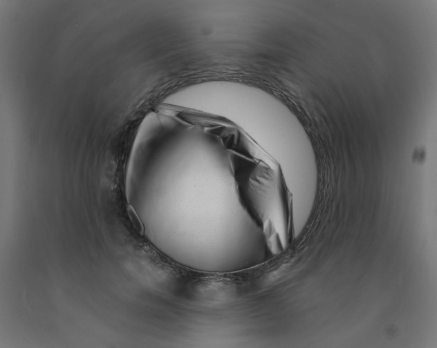 X0000090880750200708241940