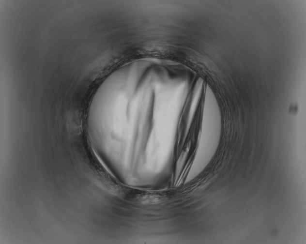 X0000090880751200708241940