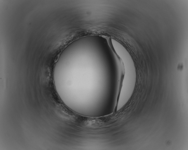 X0000090880752200708241940