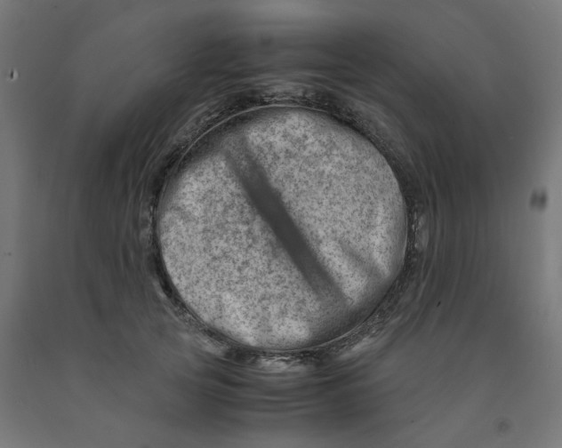 X0000090880753200708241940