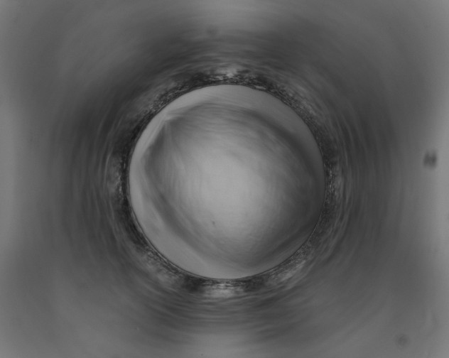 X0000090880754200708241940