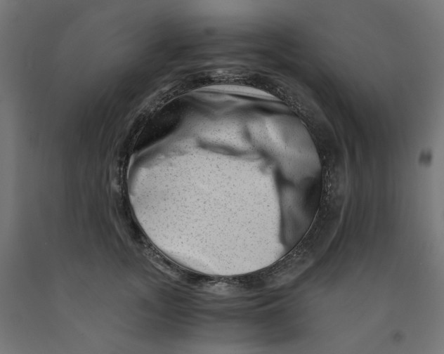 X0000090880755200708241940