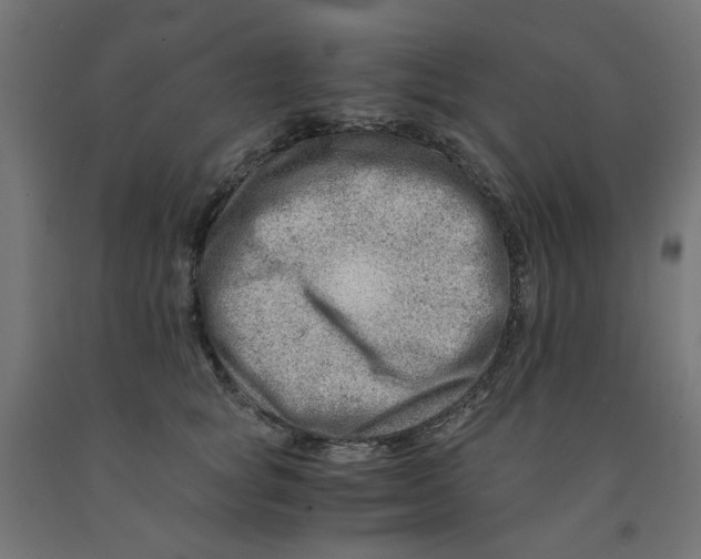 X0000090880757200708241940