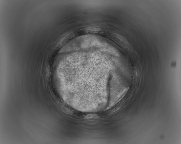 X0000090880761200708241940