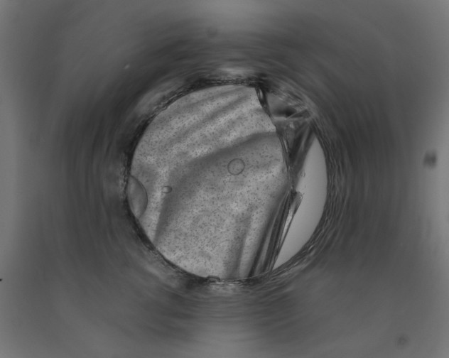 X0000090880762200708241940