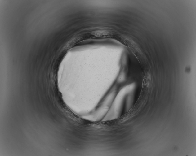 X0000090880763200708241940